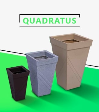 Vasos Quadratus