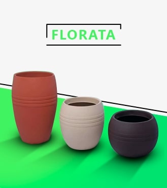 Vasos Florata