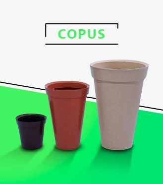 Vasos Copus