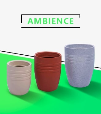 Vasos Ambience